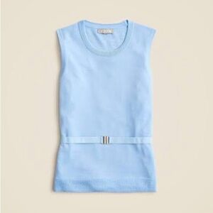 J. Crew Light Blue Merino Sweater Top